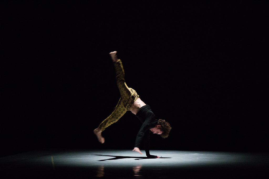 profumo d'acacia compagnia bellanda