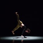 profumo d'acacia compagnia bellanda